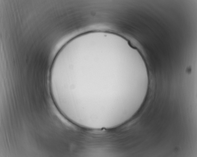 X0000115221343200911251522
