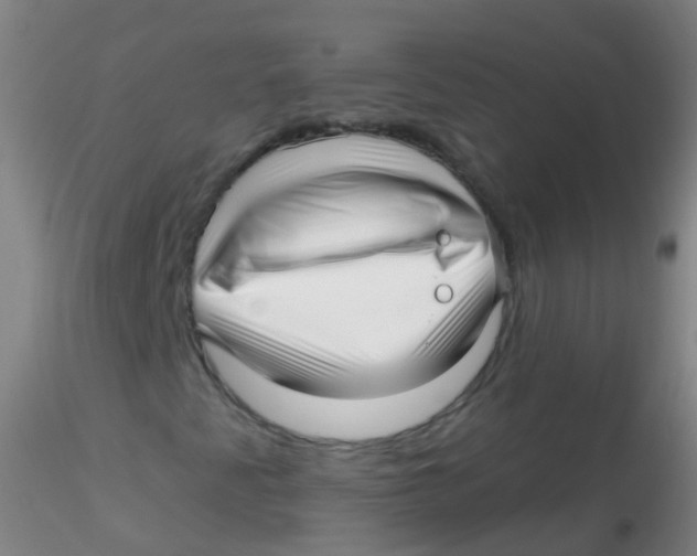 X0000115221345200911251522