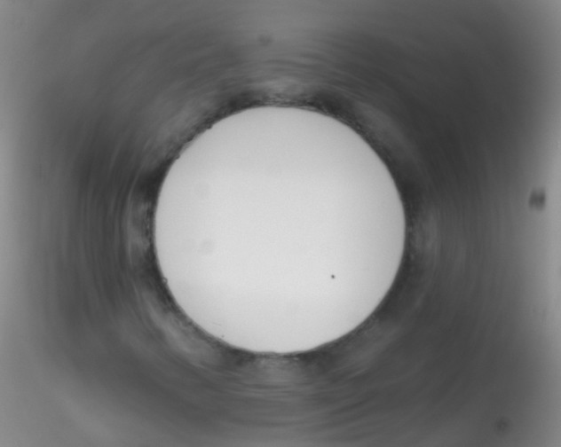 X0000115221346200911251522