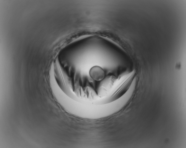 X0000115221349200911251521