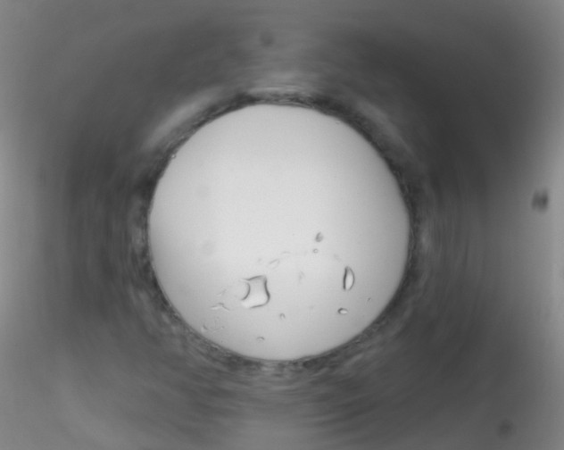 X0000115221350200911251521