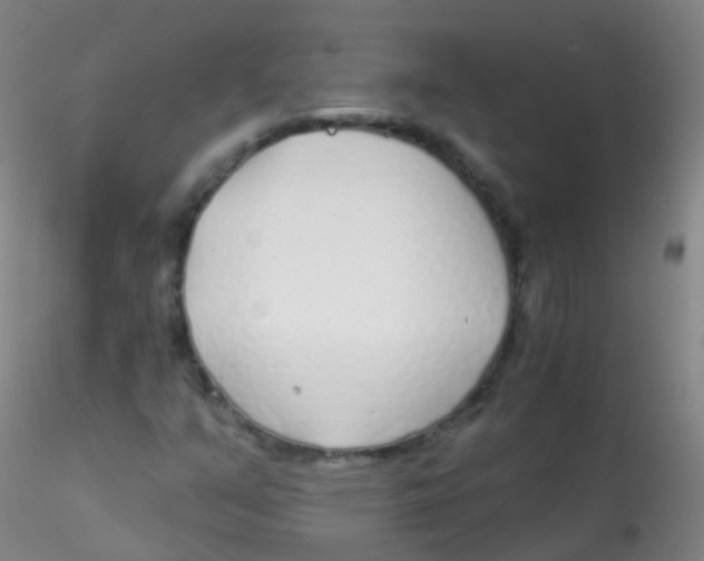 X0000115221351200911251521