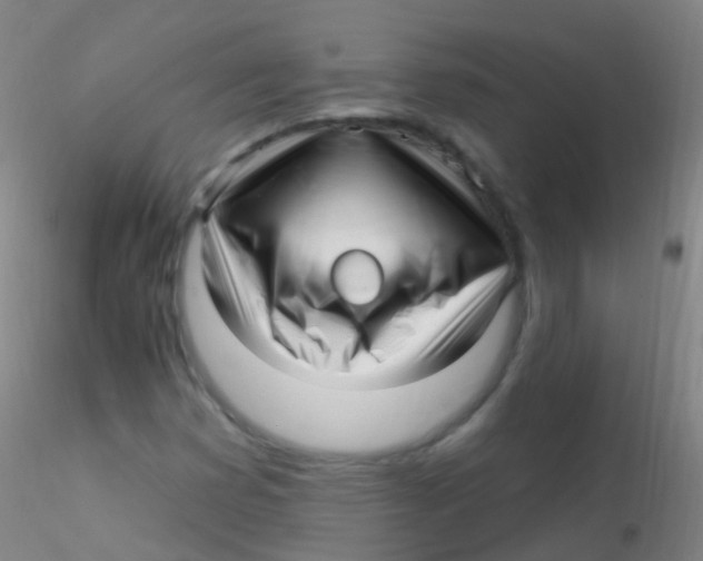 X0000115221353200911251521
