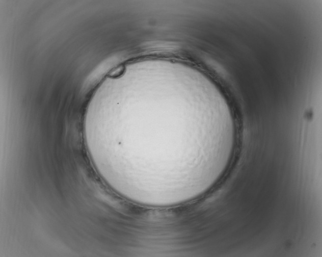 X0000115221354200911251521