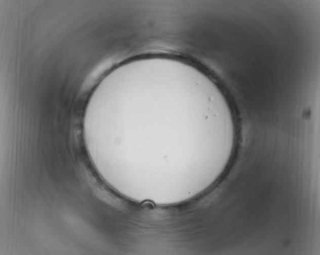 X0000115221355200911251521
