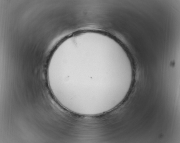 X0000115221356200911251521