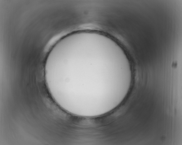 X0000115221358200911251521
