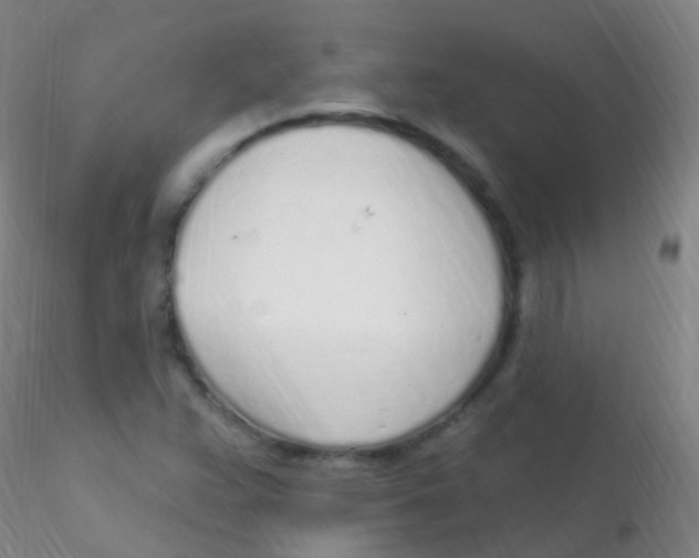 X0000115221359200911251521