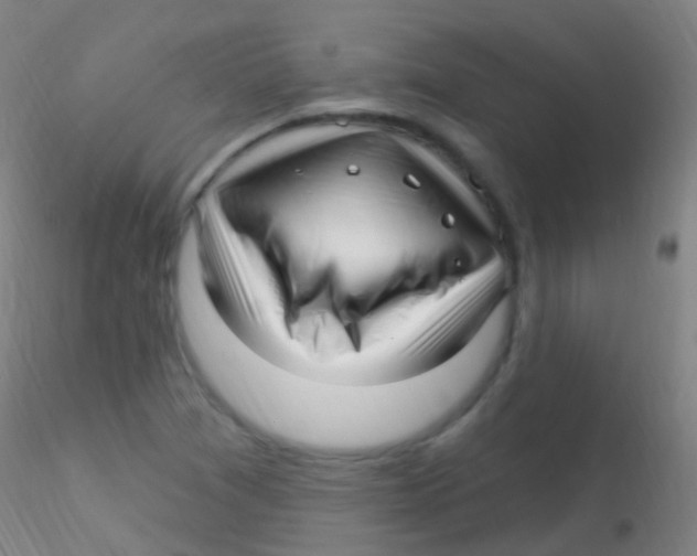 X0000115221361200911251521