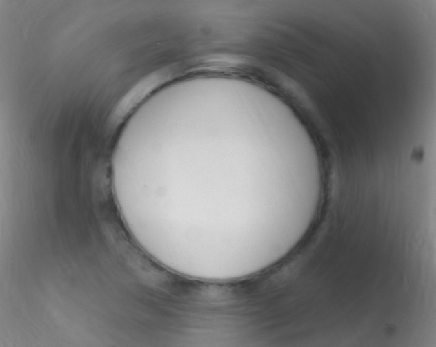 X0000115221362200911251521
