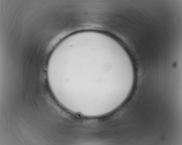 X0000115221363200911251521