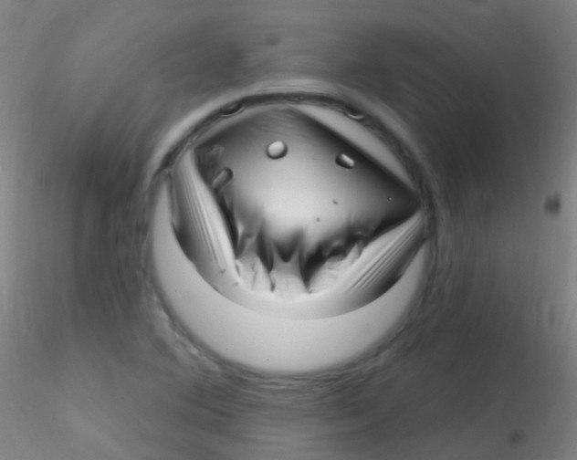 X0000115221364200911251521