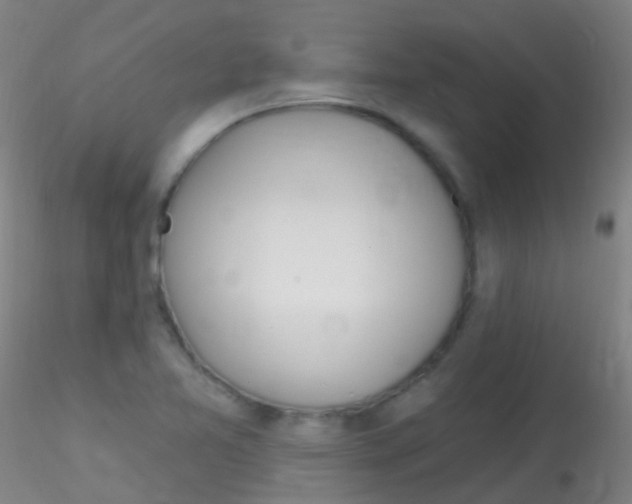 X0000115221365200911251521