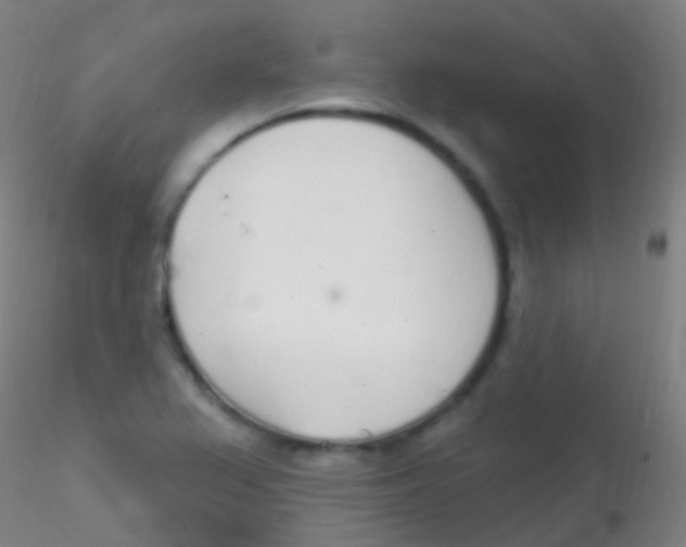X0000115221367200911251521