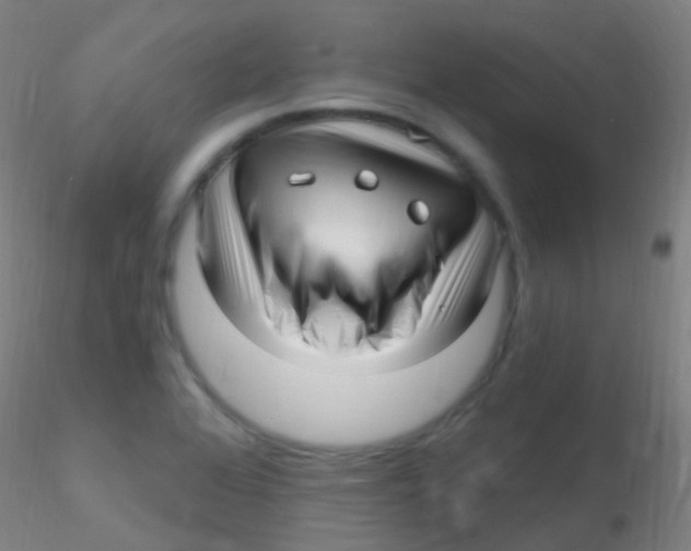 X0000115221368200911251521