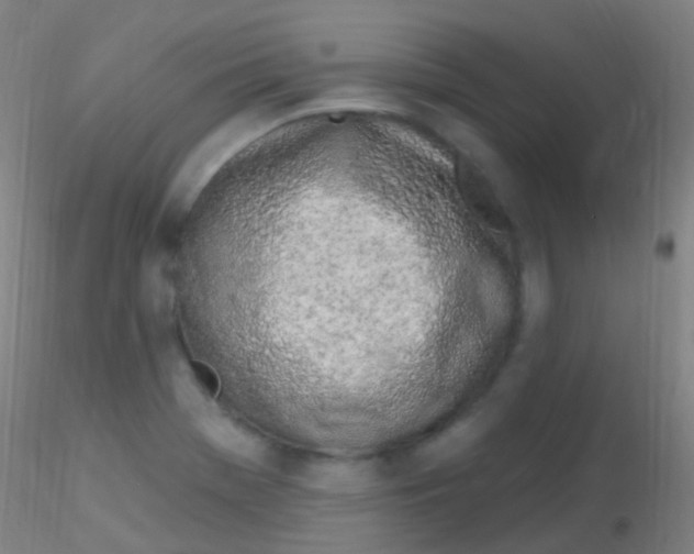 X0000115221369200911251521