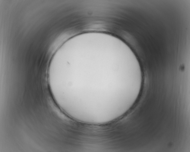 X0000115221370200911251521