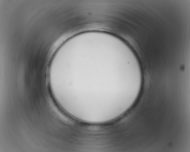 X0000115221371200911251521