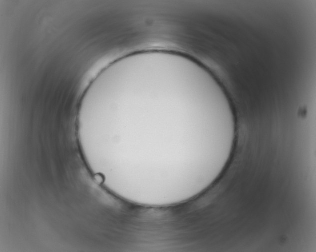 X0000115221374200911251521