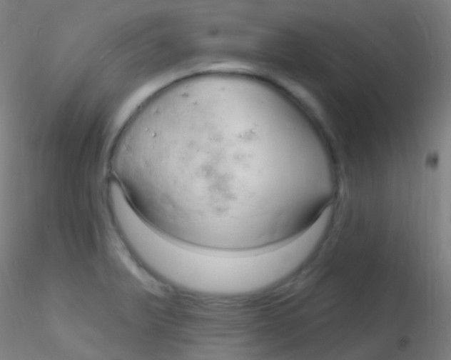 X0000115221375200911251521