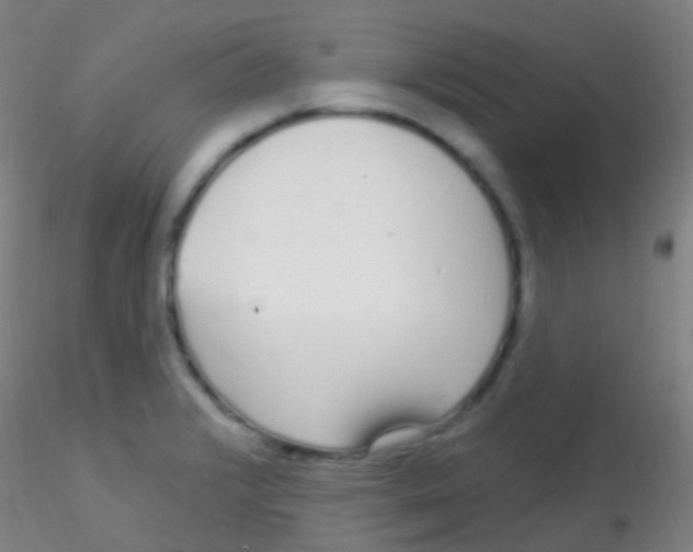 X0000115221376200911251521
