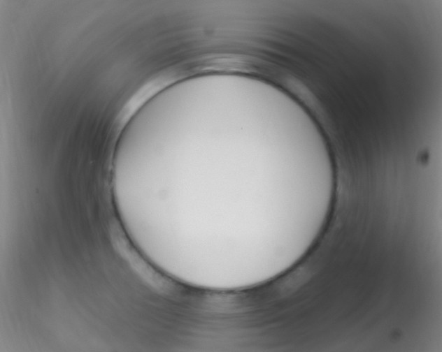 X0000115221378200911251521