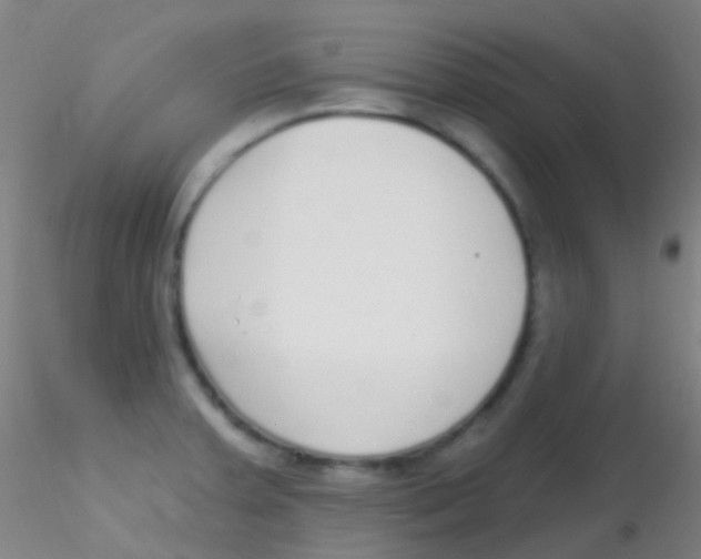X0000115221379200911251521