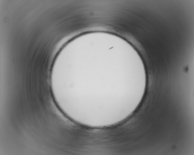 X0000115221380200911251521