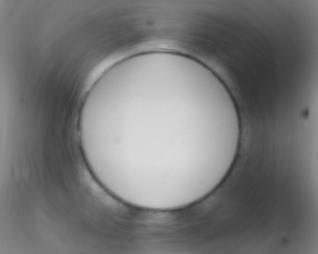 X0000115221382200911251521