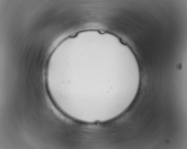 X0000115221383200911251521