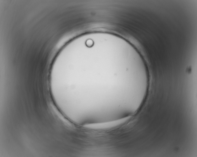 X0000115221384200911251521