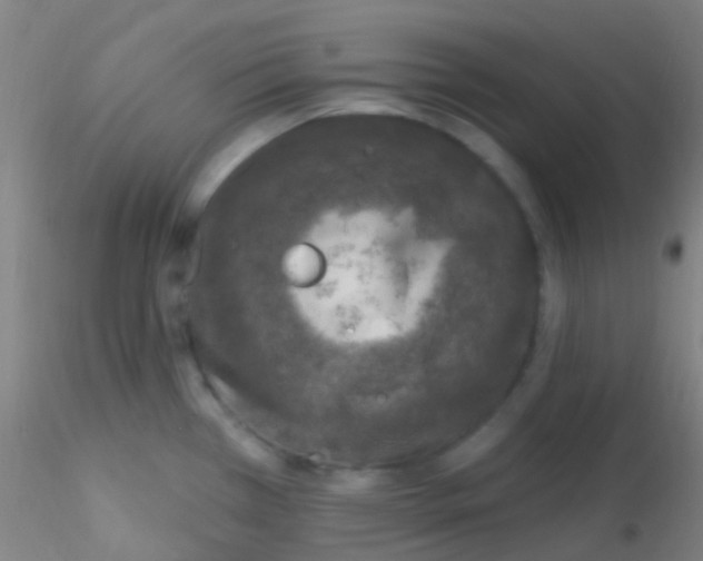 X0000115221385200911251521