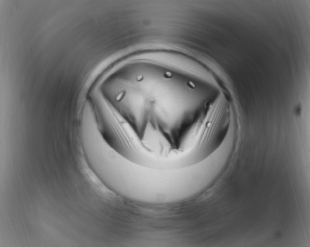 X0000115221388200911251521