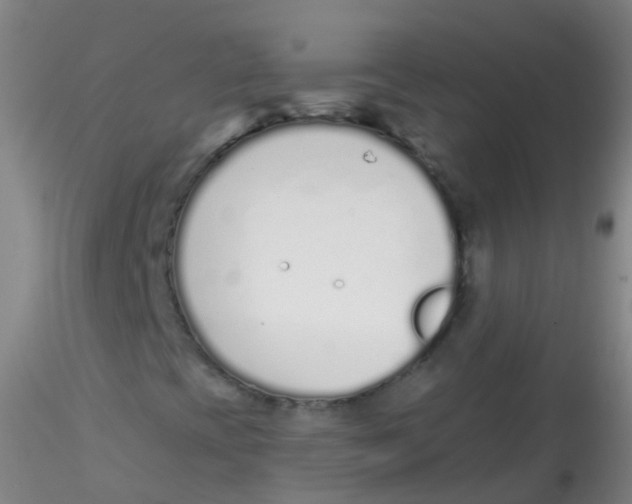 X0000115221393200911251520