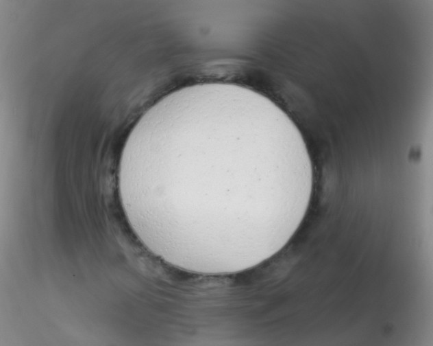 X0000115221394200911251520