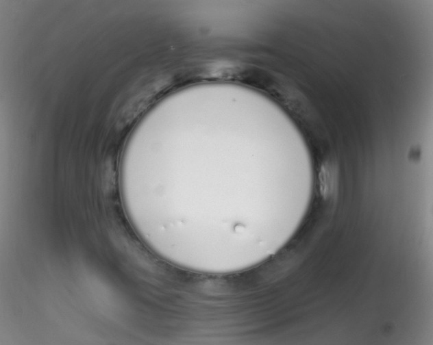 X0000115221395200911251520