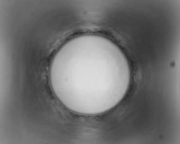 X0000115221397200911251520