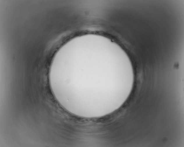 X0000115221398200911251520