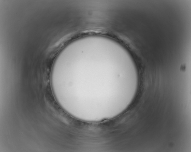 X0000115221399200911251520