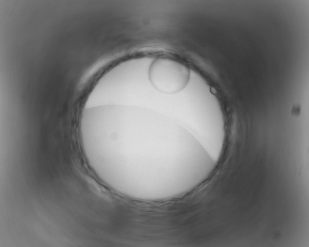 X0000115221400200911251520