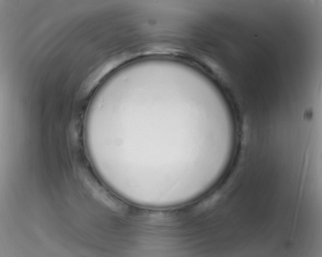 X0000115221401200911251520