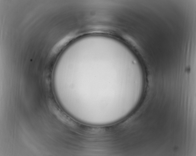 X0000115221403200911251520