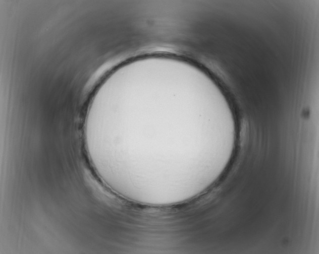 X0000115221404200911251520