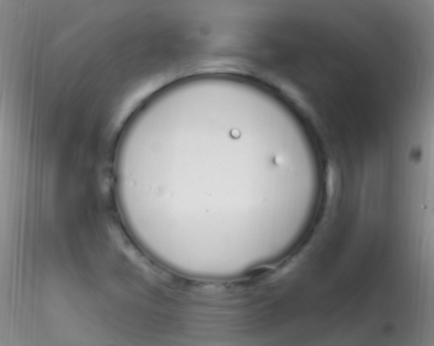 X0000115221405200911251520