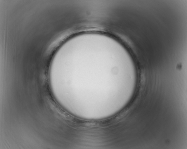 X0000115221407200911251520