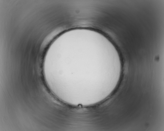 X0000115221410200911251520