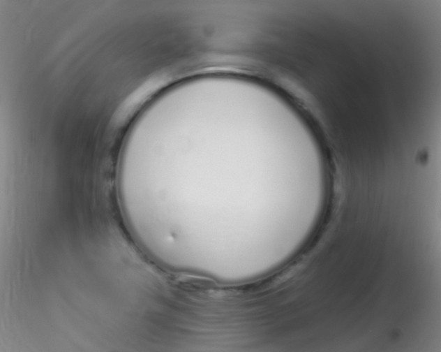 X0000115221411200911251520
