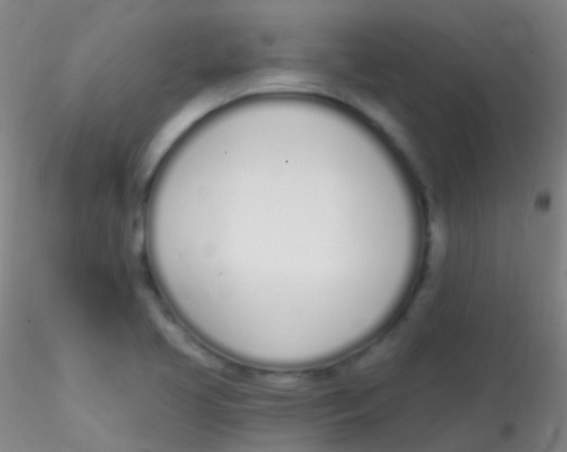 X0000115221413200911251521