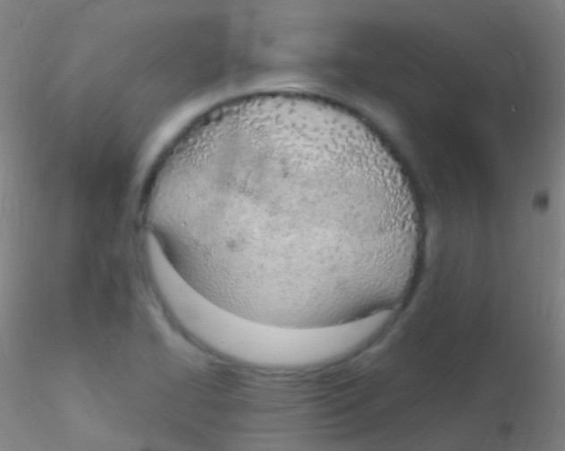 X0000115221414200911251521