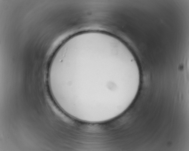 X0000115221416200911251521